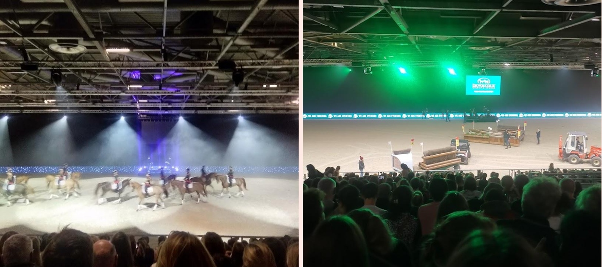 Salon du cheval - Photo 1