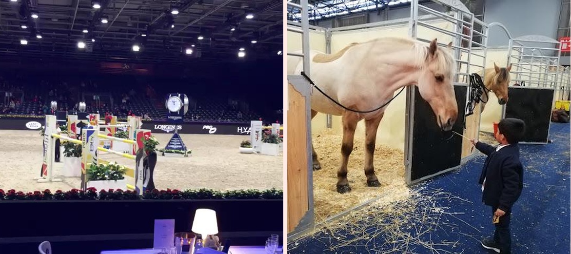 Salon du cheval - Photo 2