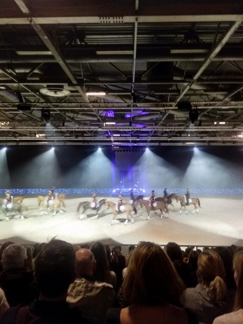 Salon du cheval - Photo 3